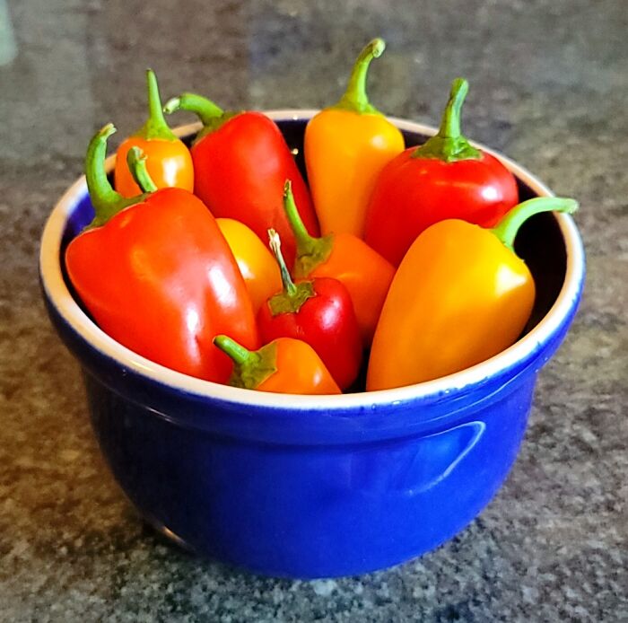 Hurray For Mini Homegrown Peppers