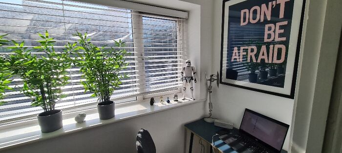 The Light In The Mornings Is Great