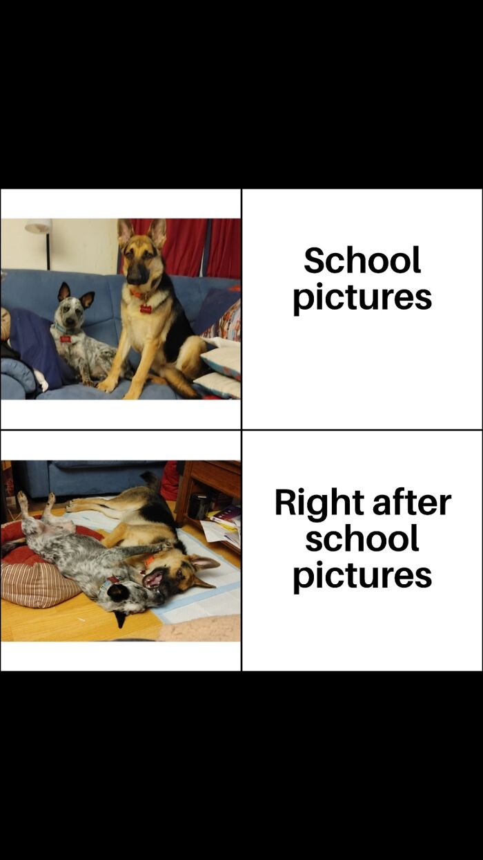 Before & After If My Boys.