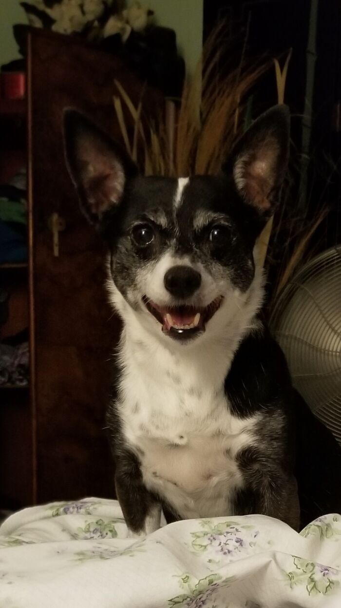 Bella, Ready To Get Into Some Trouble.