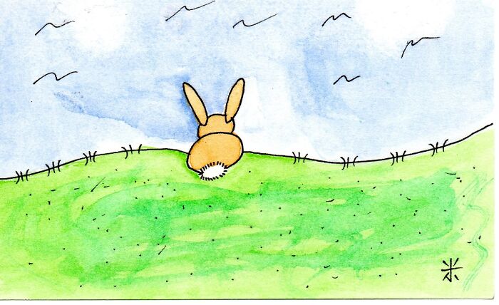Bunny On A Hill
