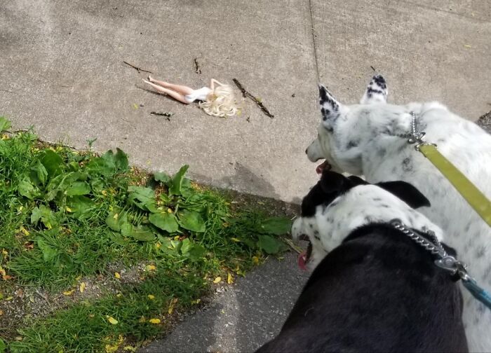 The Savage Beasts Found Their Beauty On A Sidewalk