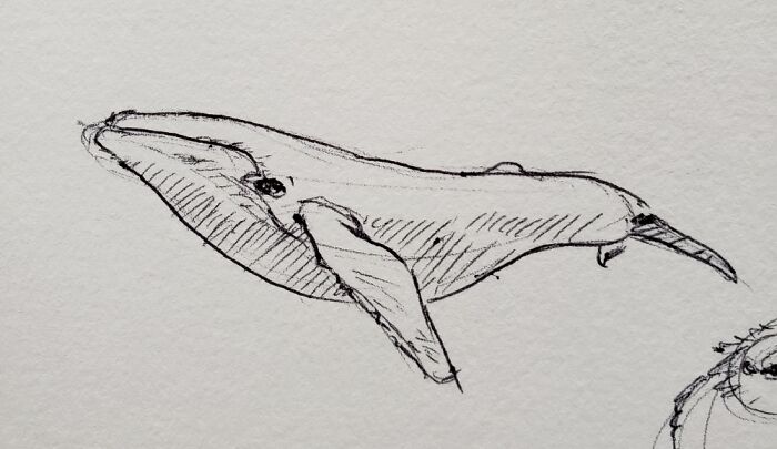 Not Following Prompts, Just Daring To Sketch With A Pen