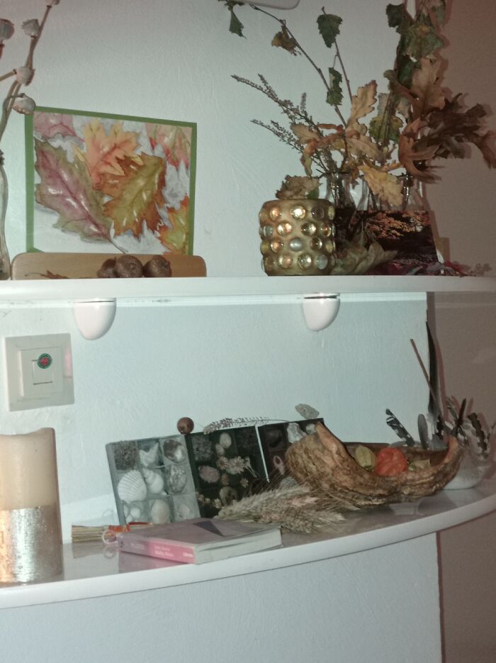 Nature In The House...