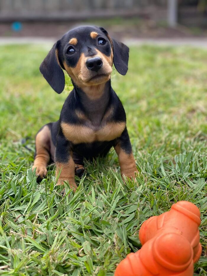 My Little Coochi Coo Layla 😍