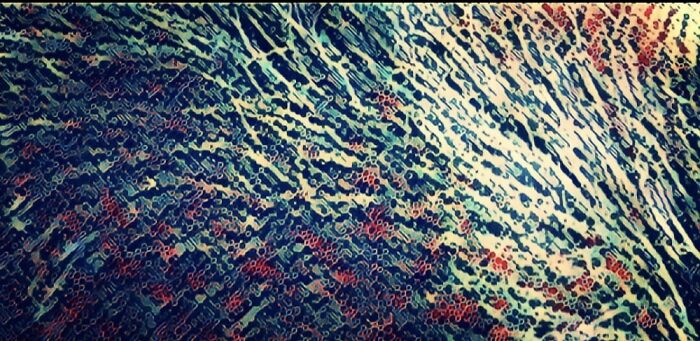 I Did A Few New Digital Art Pieces This Last Year. I Was Trying To Change Up My Art.