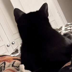 annavirginia1976 avatar