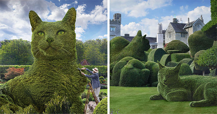 This 75-Year-Old Artist Creates Edits Of Bushes In Honor Of His Deceased Cat
