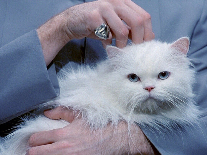 25 Supuestos familiares de celebridades cuentan como son en las reuniones familiares