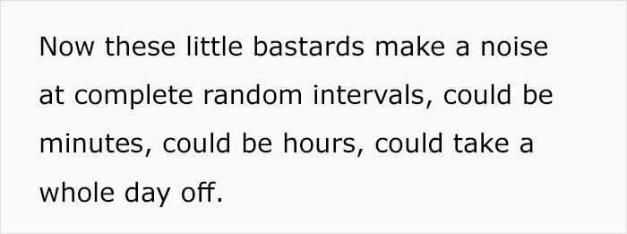 Cheating GF Moves In With New Boyfriend Without Knowing That Ex Has Prepared A Living Hell For Them For Just $100