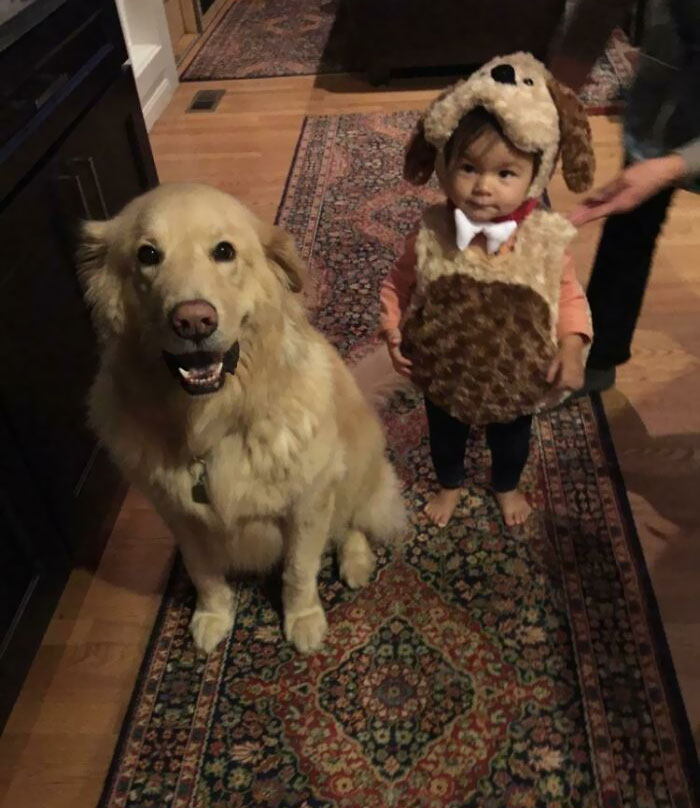 Drake Griffey Junior And My Niece As A Dog For Halloween