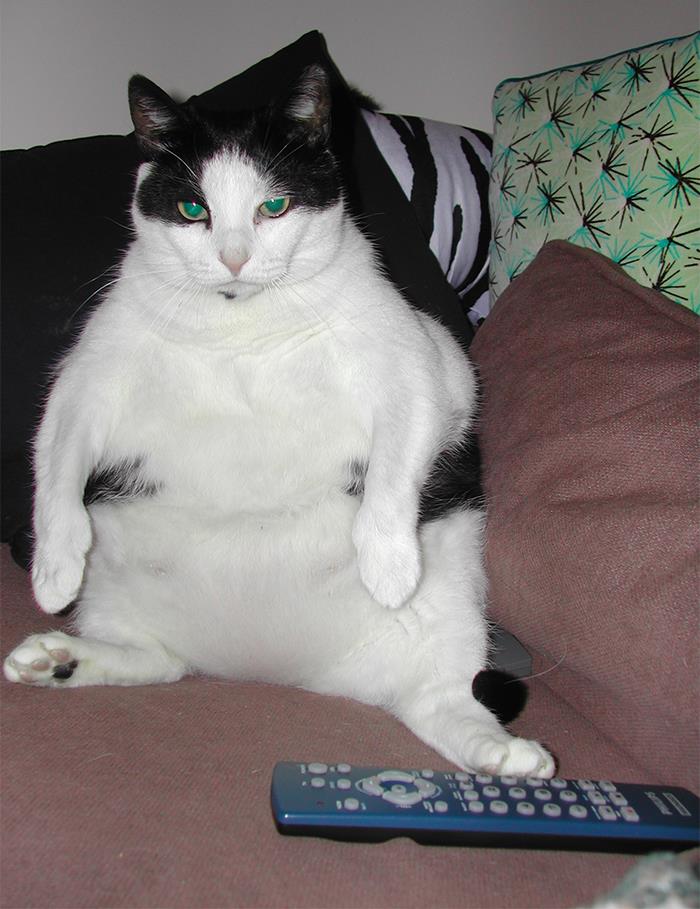 People Are Sharing 40 Things We Are Still Normalizing But Need To Stop