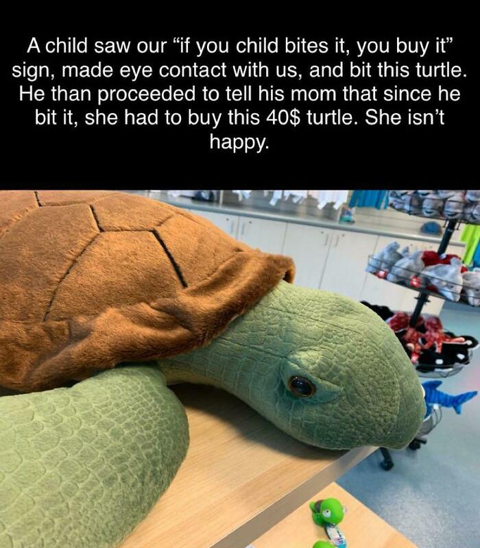 The Photo Says It All