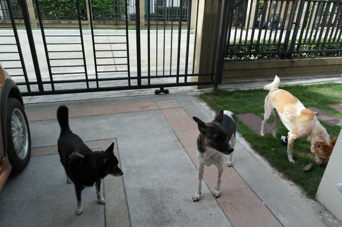 30 People Share How Their Horrible Neighbors Made Their Lives More Difficult