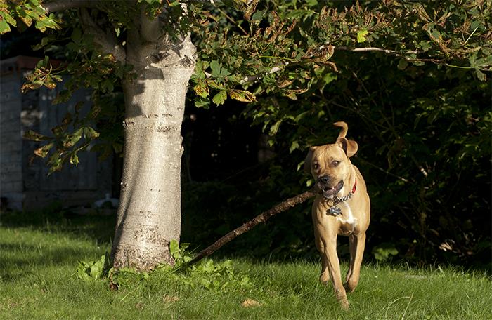 30 People Share How Their Horrible Neighbors Made Their Lives More Difficult