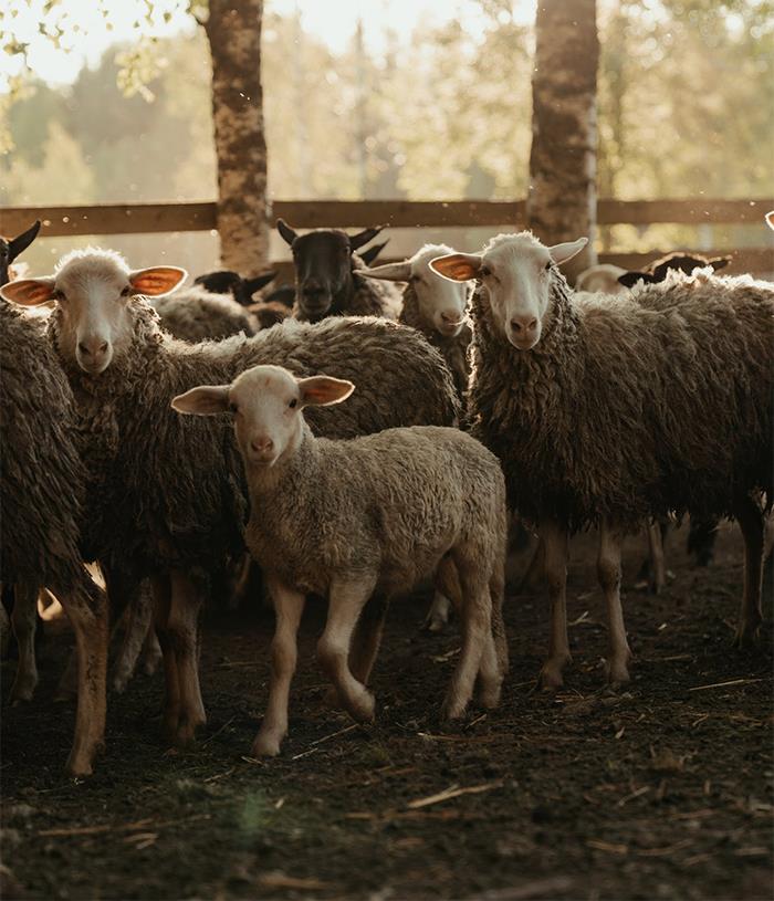 30 People Share How Their Horrible Neighbors Made Their Lives More Difficult