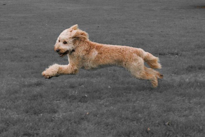 30 People Share How Their Horrible Neighbors Made Their Lives More Difficult