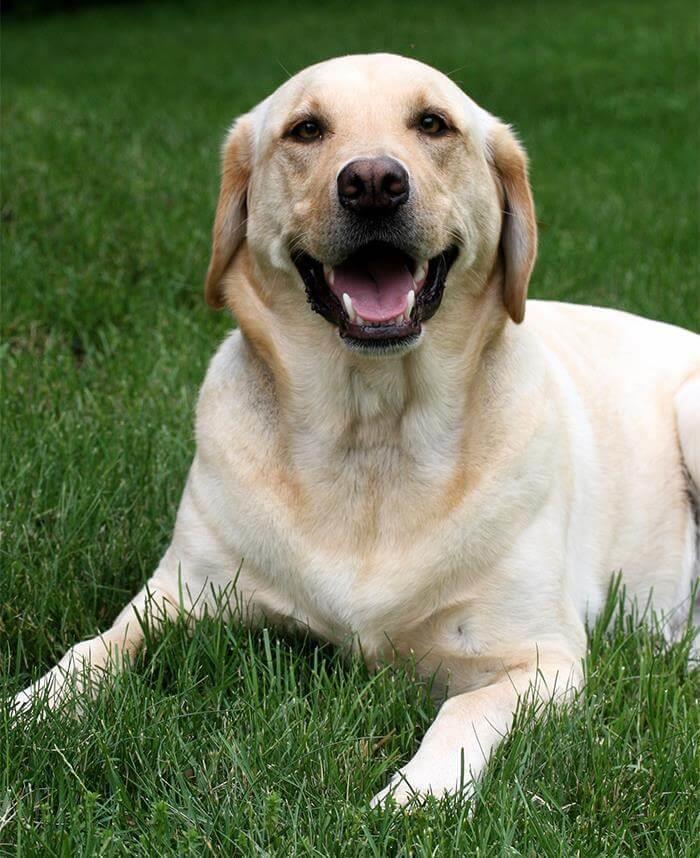 30 People Share How Their Horrible Neighbors Made Their Lives More Difficult