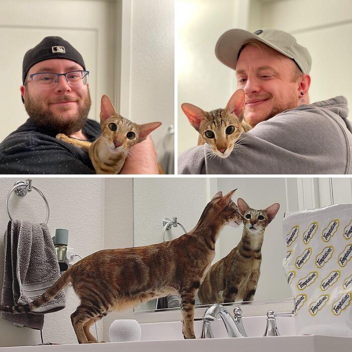 ¡Mi pareja y yo adoptamos a Emma hoy! Ella es un Oriental de 1 años de edad