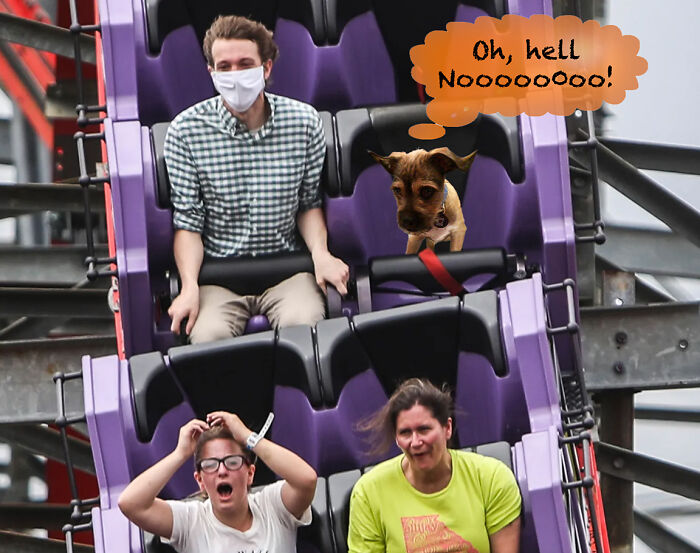 When You Said Let's Go To The Park...