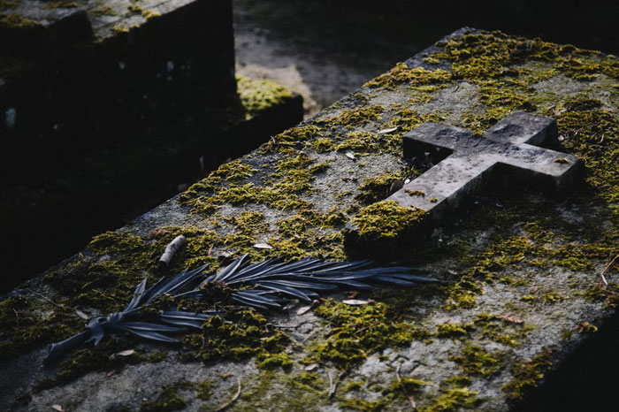 30 People Share Historical 'Facts' That Have Been Proven Wrong Long Ago, But Many People Still Believe In