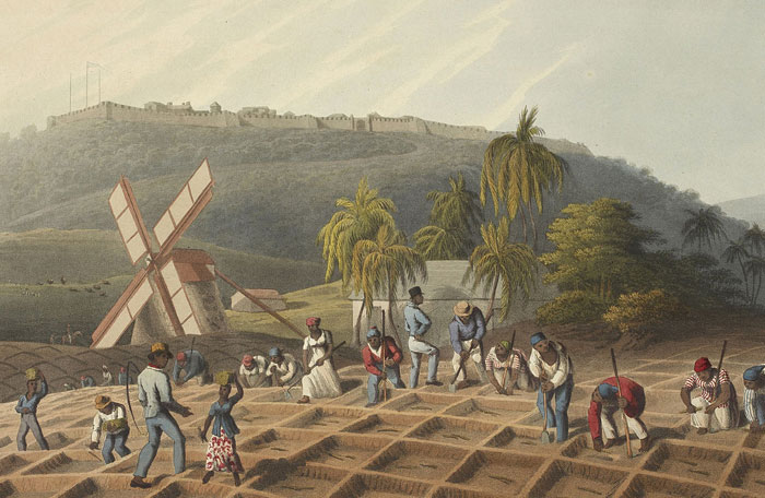 30 People Share Historical 'Facts' That Have Been Proven Wrong Long Ago, But Many People Still Believe In