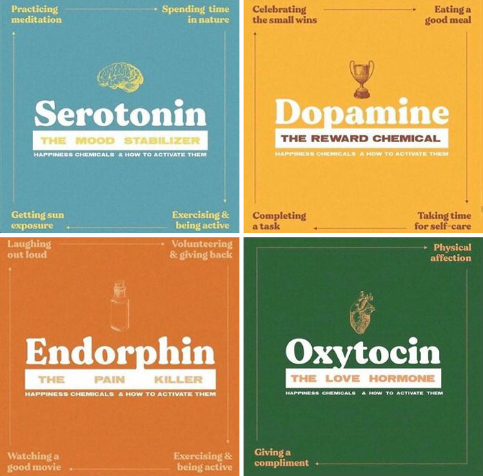 Happiness Chemicals In The Brain And How To Activate Them