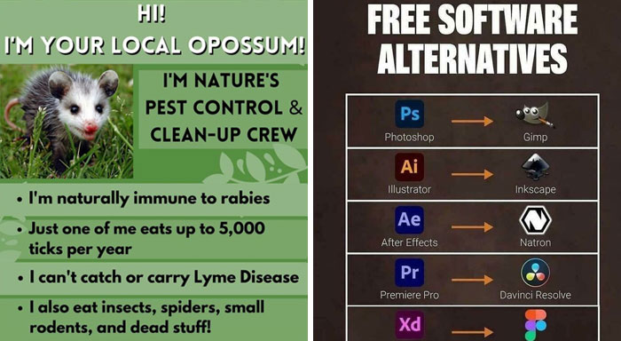 40 ‘Cool Guides’ People Shared On This Group That Contain Information They Don’t Teach At School (New Pics)