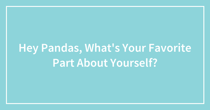 Hey Pandas, What’s Your Favorite Part About Yourself? (Closed)
