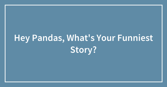 Hey Pandas, What’s Your Funniest Story? (Closed)