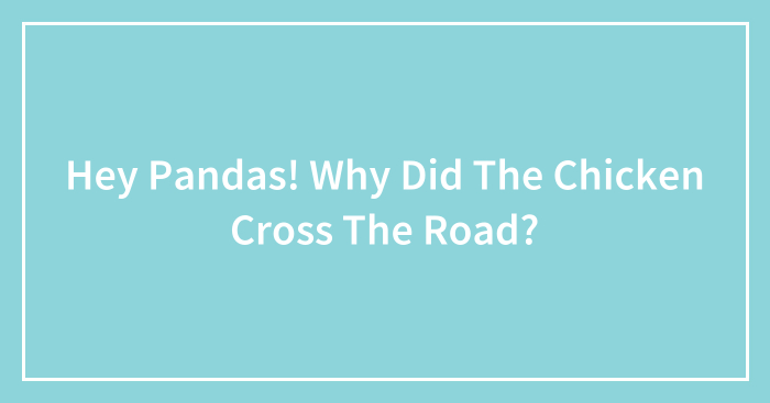 Hey Pandas! Why Did The Chicken Cross The Road? (Closed)