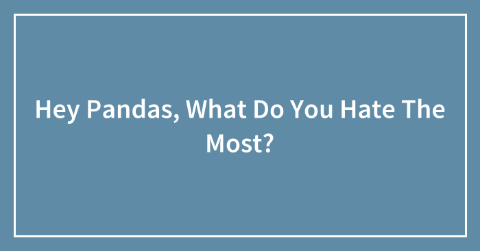 Hey Pandas, What Do You Hate The Most? (Closed)