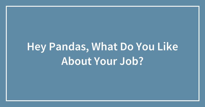 Hey Pandas, What Do You Like About Your Job? (Closed)