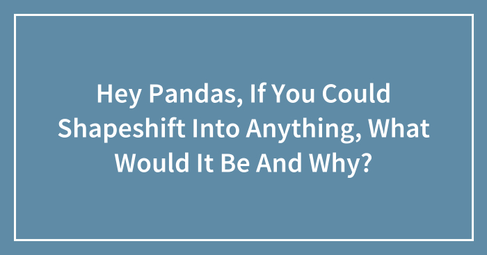 Hey Pandas, If You Could Shapeshift Into Anything, What Would It Be And Why? (Closed)