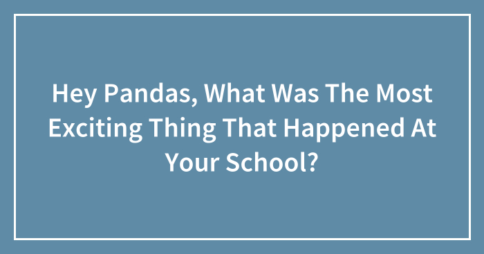 Hey Pandas, What Was The Most Exciting Thing That Happened At Your School?