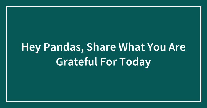 Hey Pandas, Share What You Are Grateful For Today (Closed)