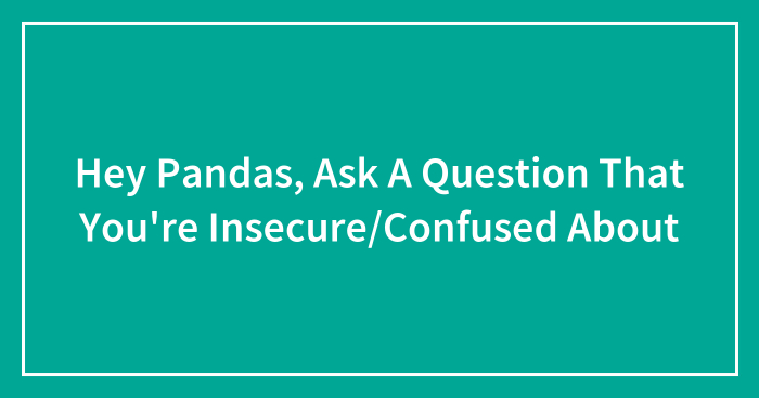 Hey Pandas, Ask A Question That You’re Insecure/Confused About (Closed)