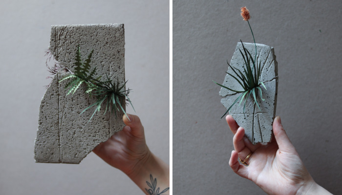 My New Series Called ‘Weeds’