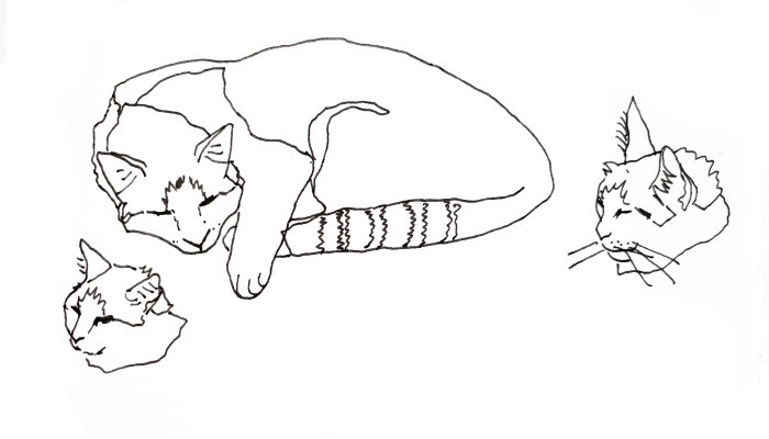 Hey Pandas, Draw A Picture Of Your Pet (Closed)