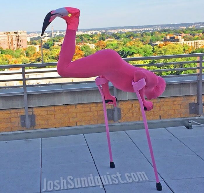 When Life Hands You Lemons, Make Awesome Halloween Costumes