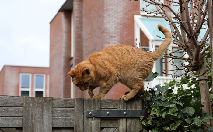 10 Personas comparten las cosas inexplicables más aterradoras que les sucedieron