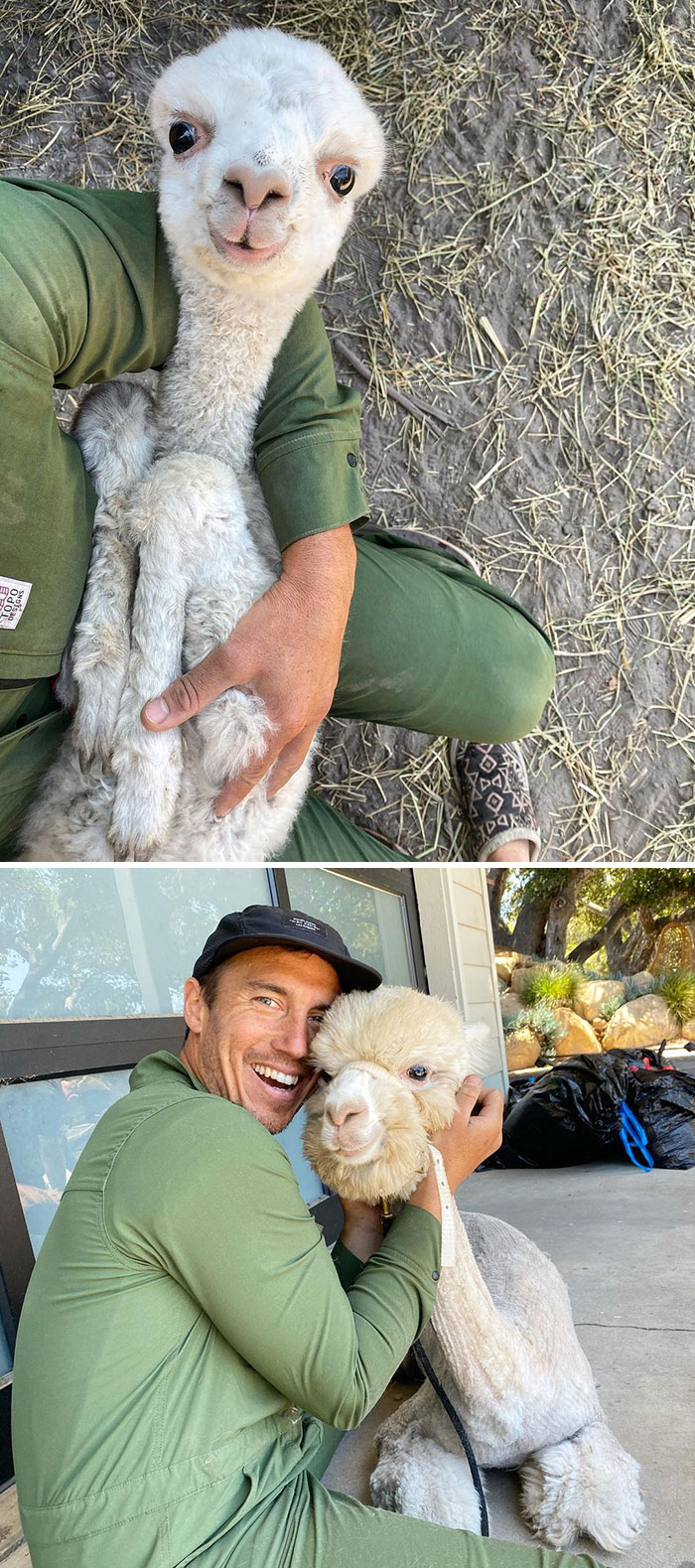 8 Days / 8 Months, They Sure Grow Up Fast