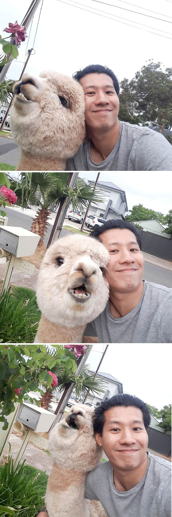 Forced Selfies Are The Best