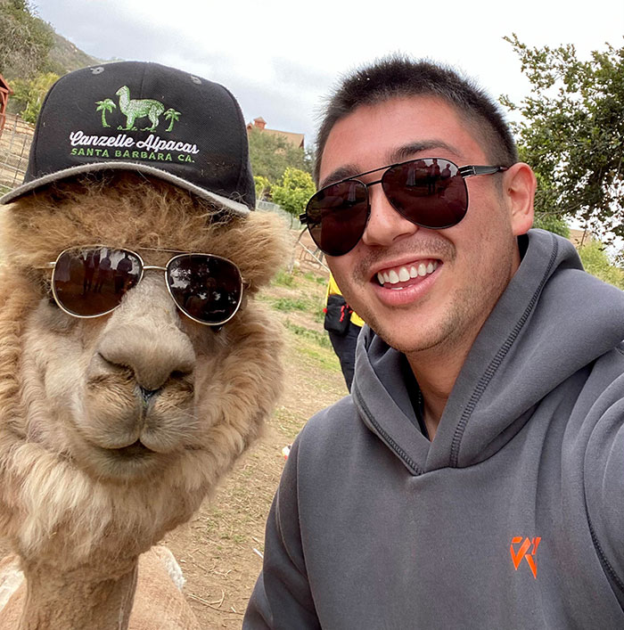 And The Award Goes To