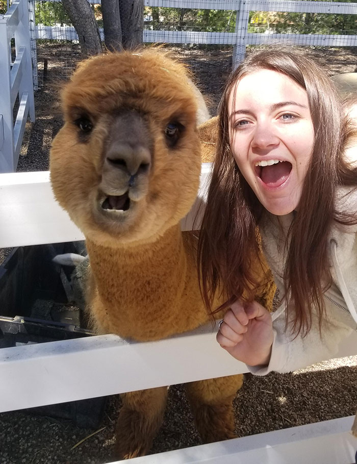 Ann And Lady Kate, New Best Friends