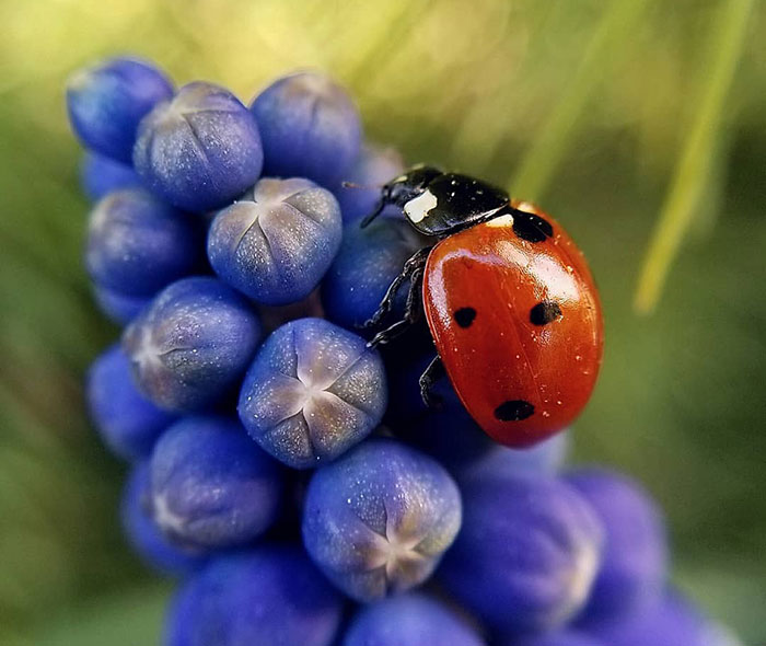 On The Key Word Spring Awakening