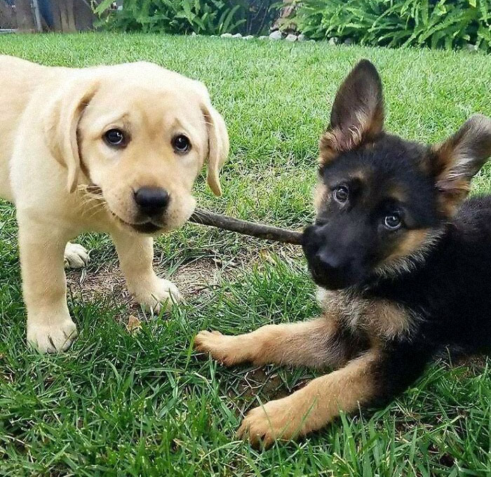 Haciendo nuevos amigos