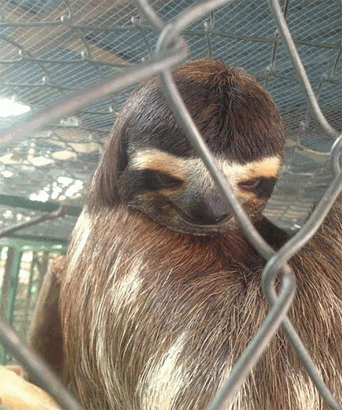 If You Know What I Mean