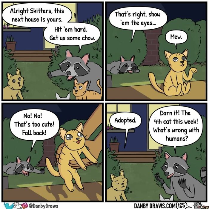 Silly comic panels showing a raccoon and cats with a random twist about cats getting adopted.