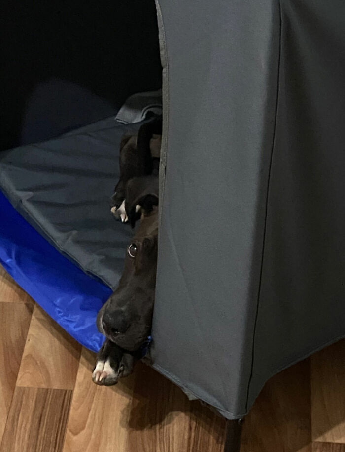 This Is Where He Goes When He Wants Alone Time